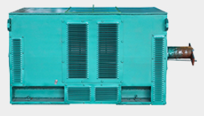 Y series high-voltage three-phase asynchronous motors(圖1) image.png