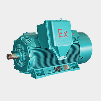 YB2系列高壓防爆電動機維修售后(圖1) 高壓 YB2 .jpg